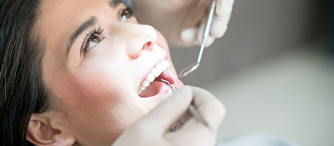 Hygienist consultation